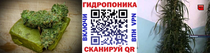 Canna-Cookies конопля  дарнет шоп  Шарья 