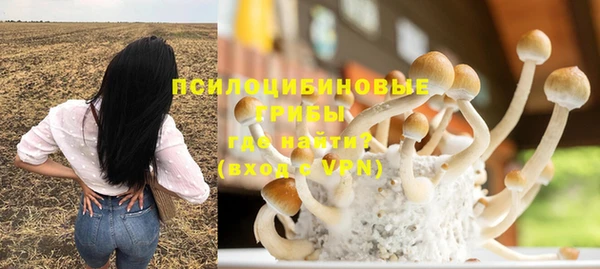 прущие крисы Пестово